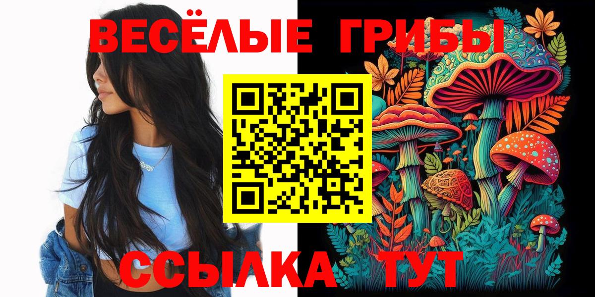 Галлюциногенные грибы Cubensis  Вход с VPN  Донской 