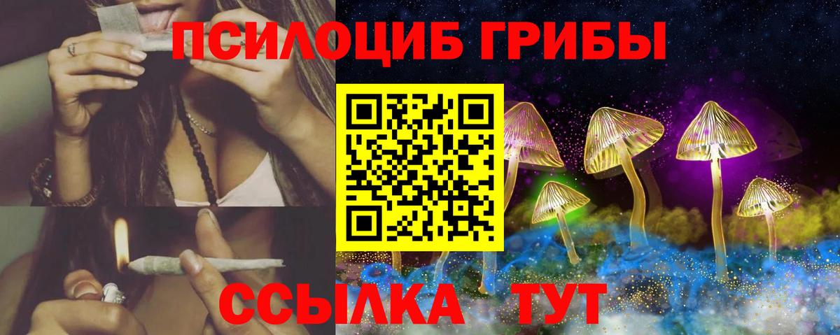 Псилоцибиновые грибы прущие грибы Донской